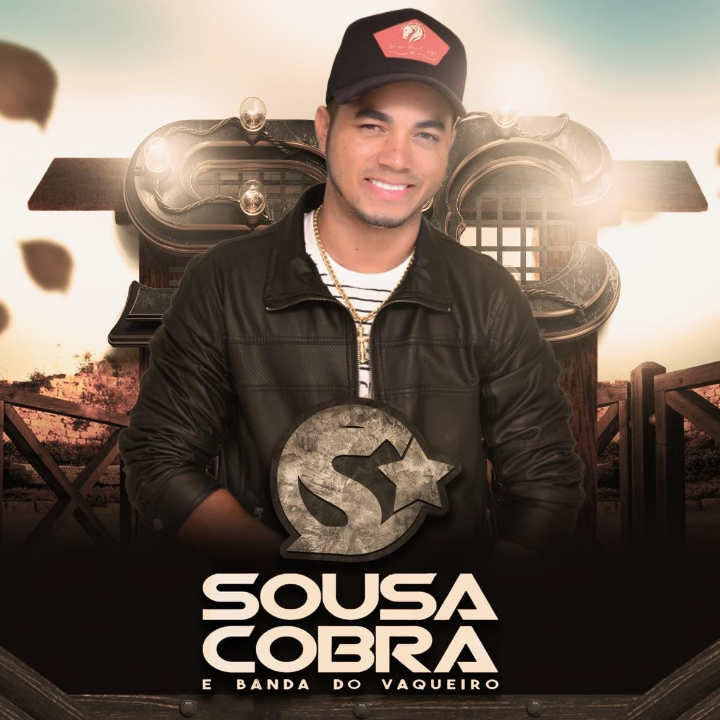 Sou Vaqueiro, Sou Peão e Quero Ela - Single by Sousa Cobra Oficial